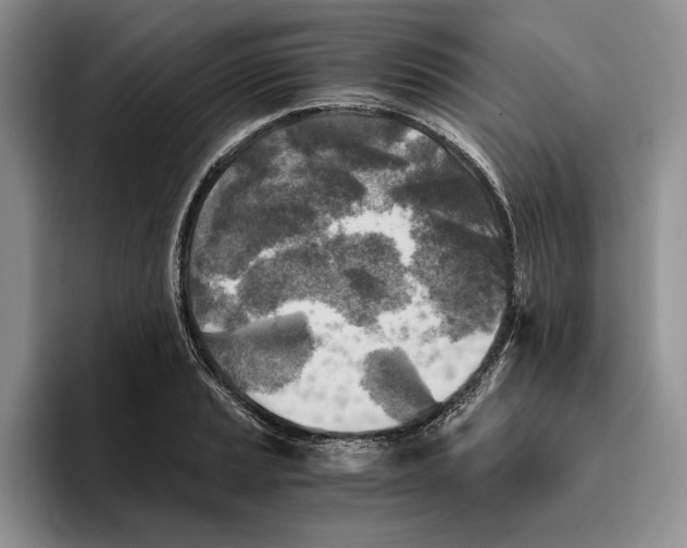 X0000096221037200802151518