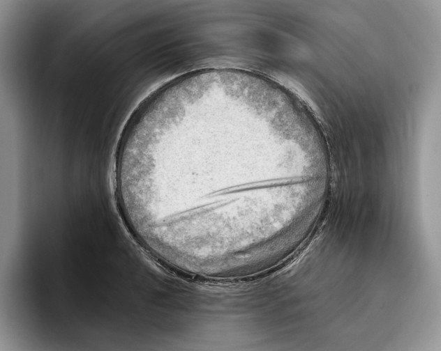 X0000096221040200802151518