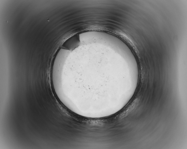 X0000096221041200802151518