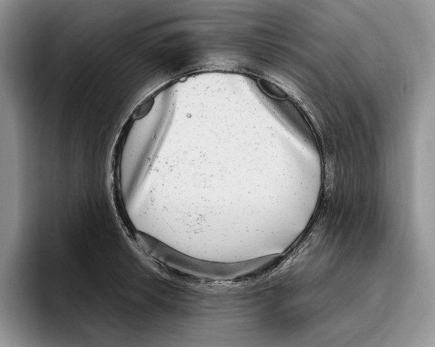 X0000096221042200802151518