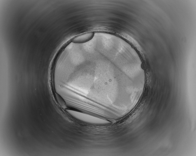 X0000096221043200802151518