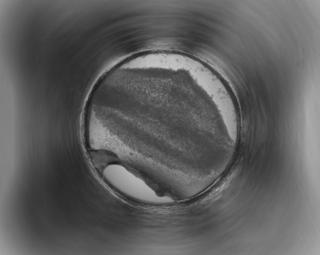 X0000096221045200802151518