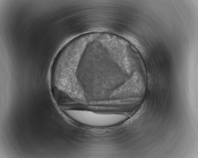 X0000096221046200802151518