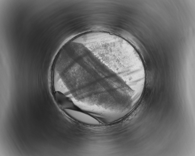 X0000096221048200802151518