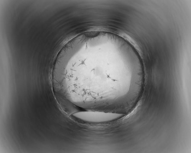 X0000096221049200802151518