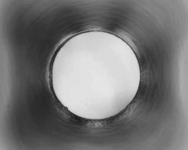 X0000096221051200802151518