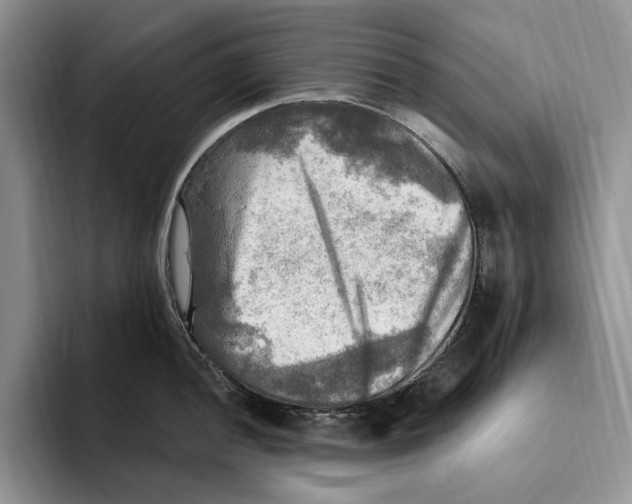 X0000096221052200802151518