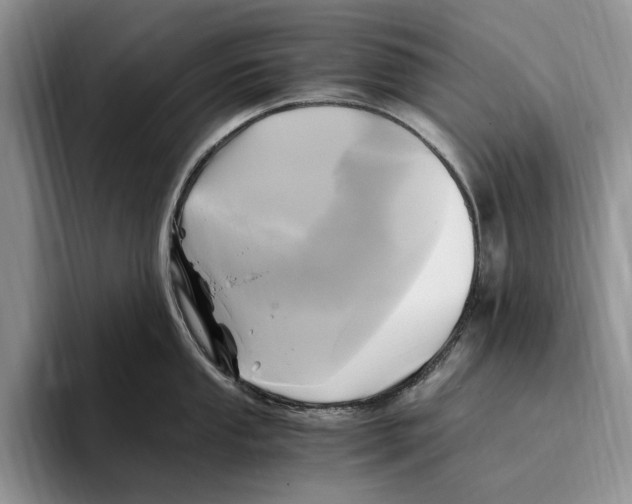 X0000096221053200802151518