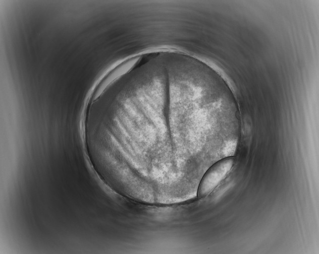 X0000096221054200802151518