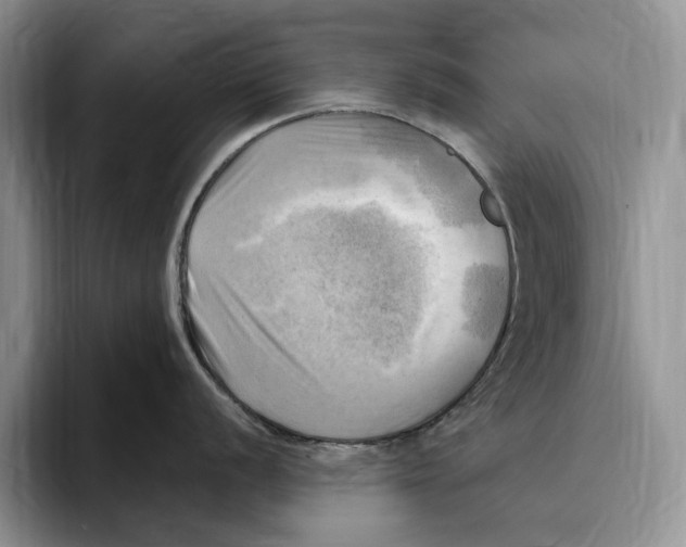 X0000096221056200802151518