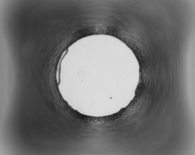 X0000096221057200802151518