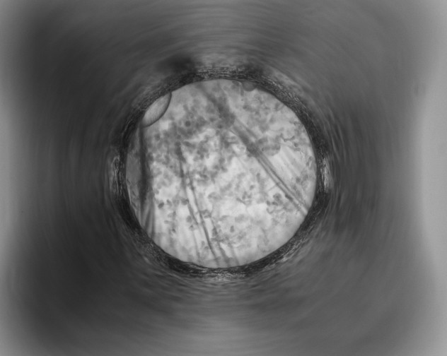 X0000096221059200802151517