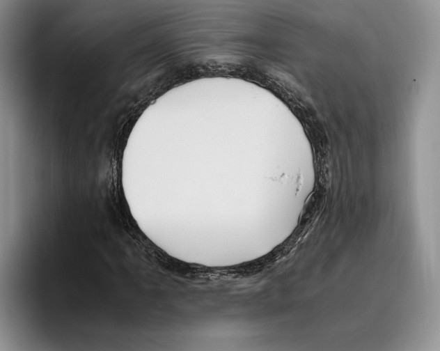 X0000096221061200802151517