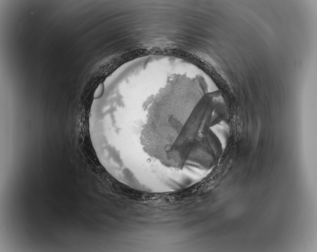 X0000096221063200802151517