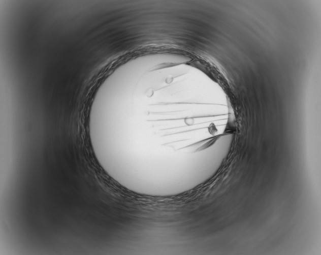 X0000096221064200802151517