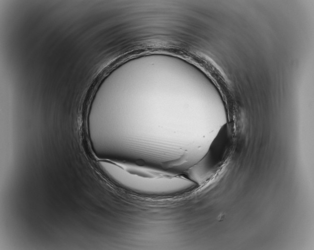 X0000096221065200802151517