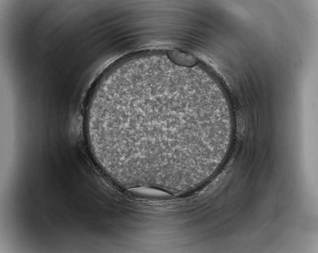 X0000096221066200802151517