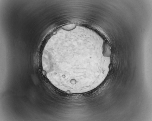 X0000096221067200802151517