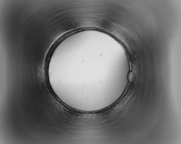 X0000096221068200802151517