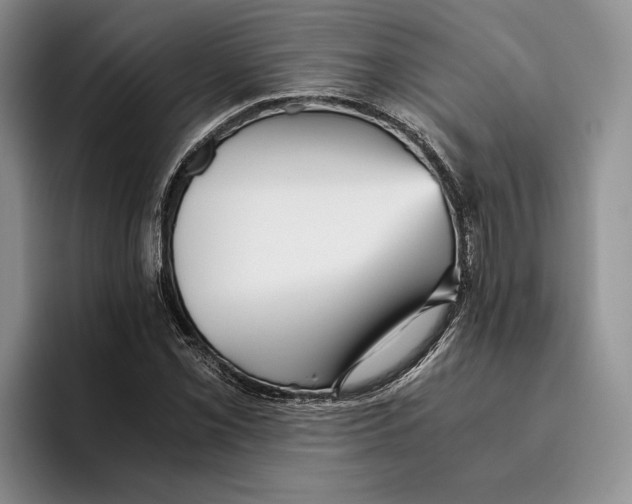 X0000096221069200802151517