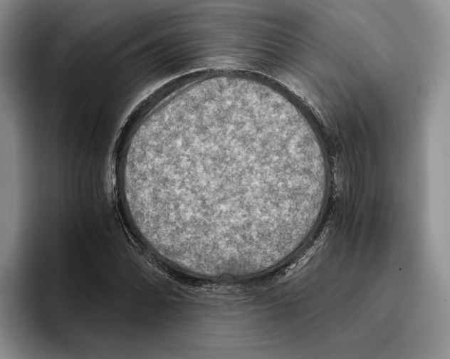 X0000096221070200802151517