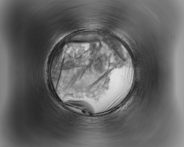 X0000096221071200802151517