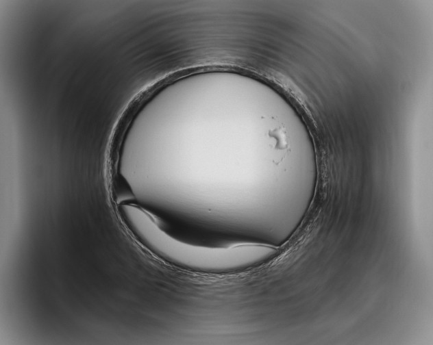 X0000096221072200802151517