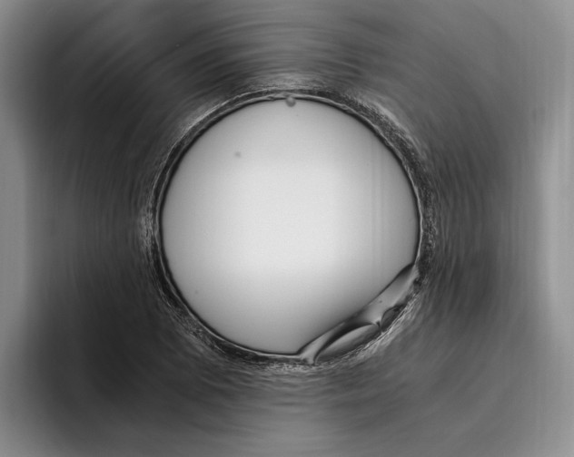 X0000096221073200802151517