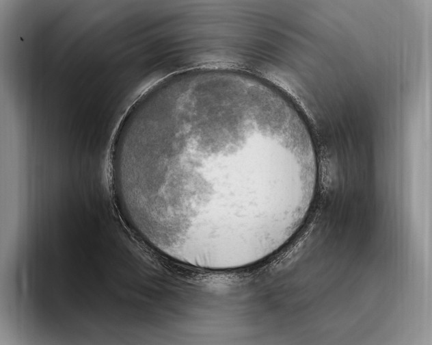 X0000096221074200802151517