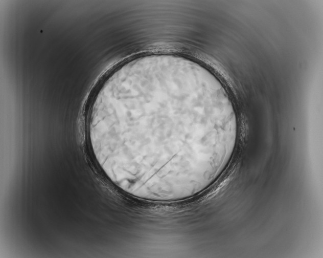 X0000096221075200802151517