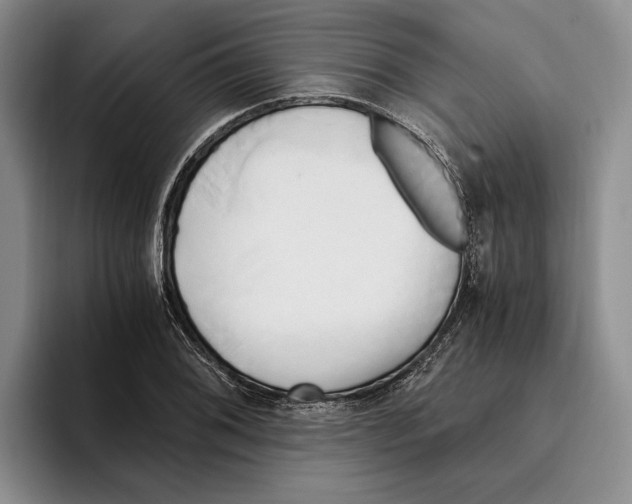 X0000096221076200802151517