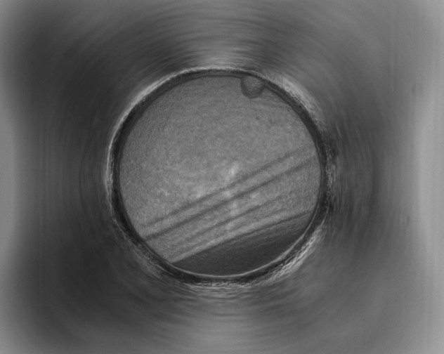 X0000096221077200802151517