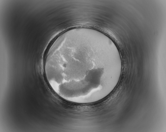 X0000096221079200802151517