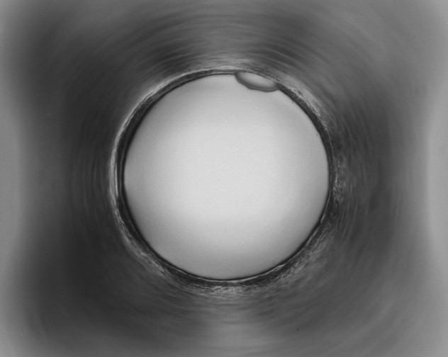 X0000096221080200802151517