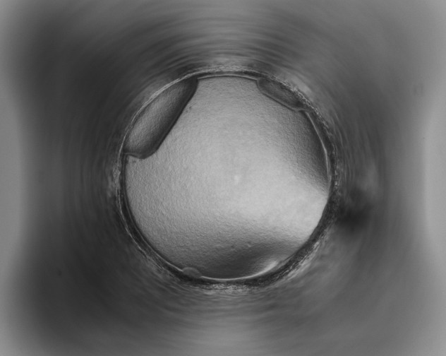 X0000096221081200802151517