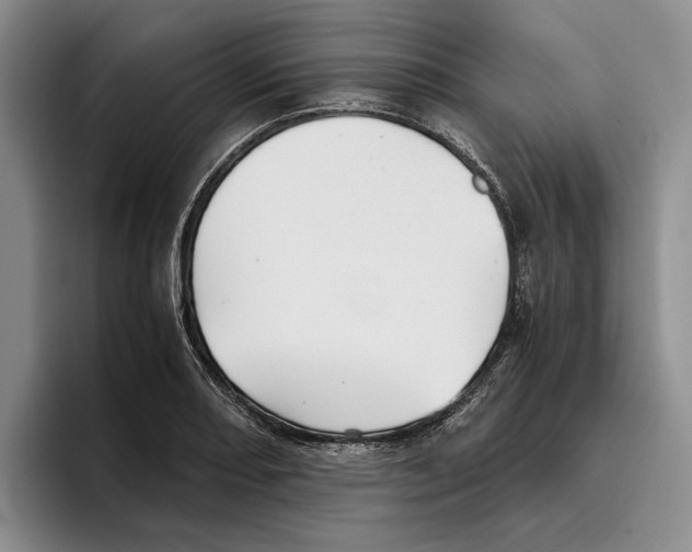 X0000096221082200802151517