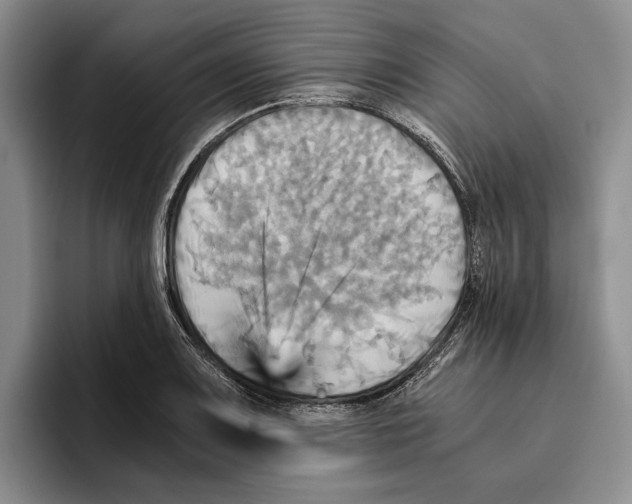 X0000096221083200802151517