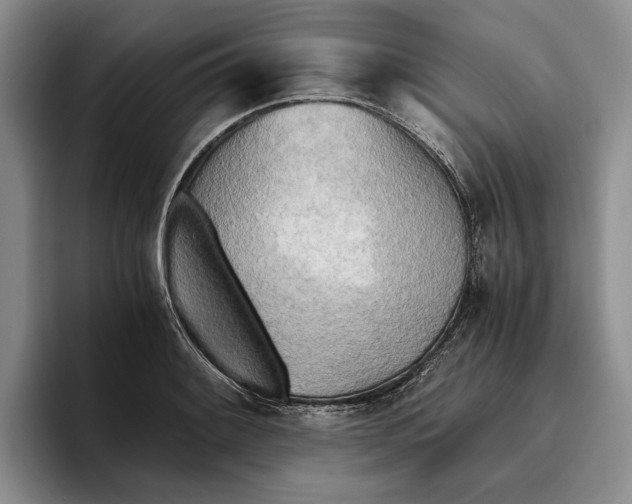 X0000096221084200802151517