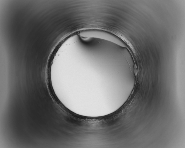 X0000096221085200802151517