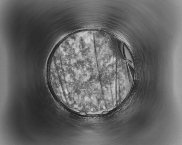 X0000096221087200802151517