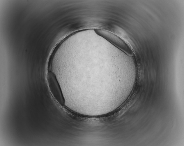 X0000096221088200802151517