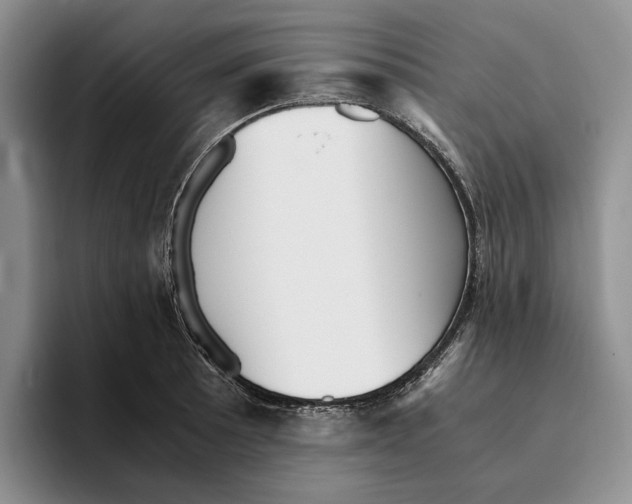 X0000096221089200802151517