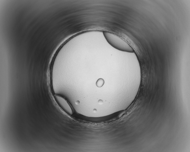 X0000096221092200802151517