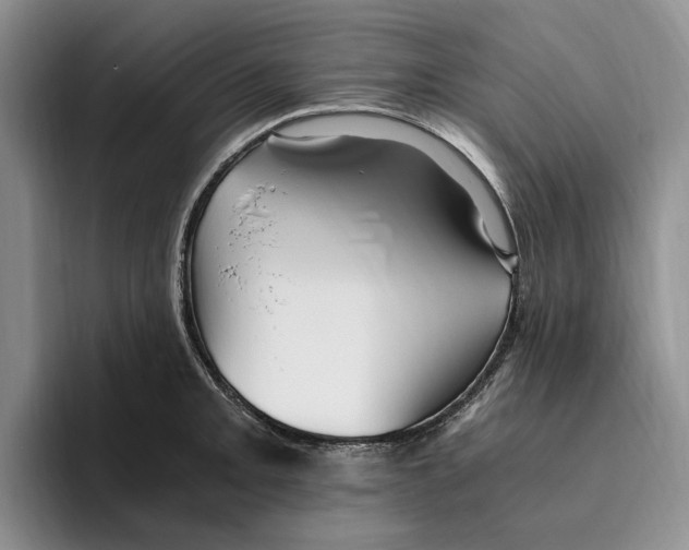 X0000096221093200802151517