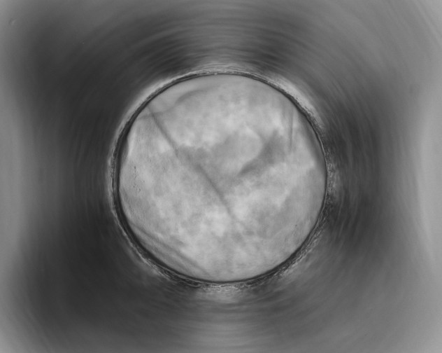 X0000096221094200802151517