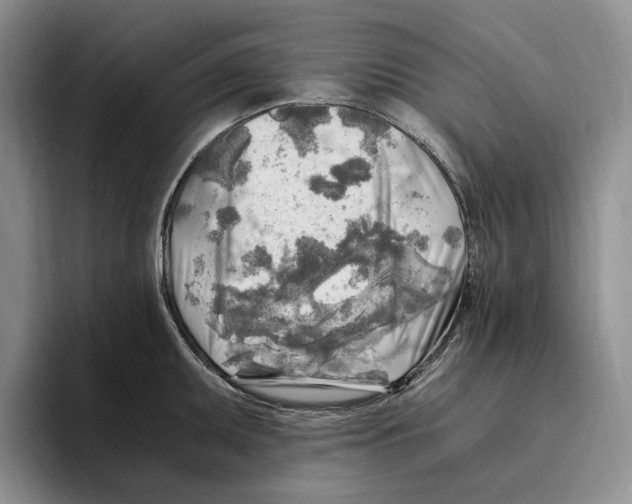 X0000096221095200802151517