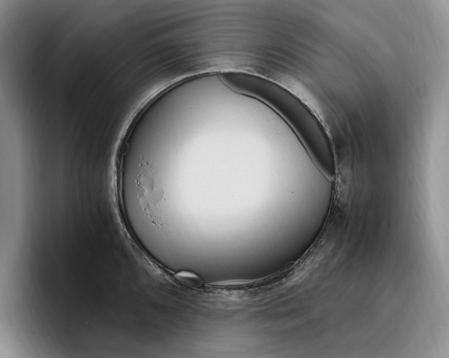 X0000096221096200802151517