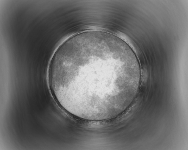 X0000096221098200802151517