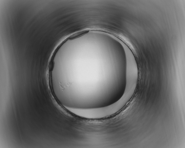 X0000096221100200802151517