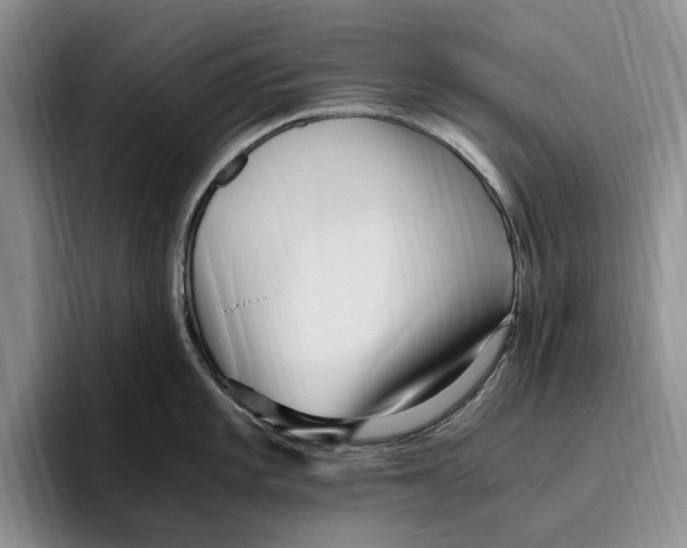 X0000096221101200802151517